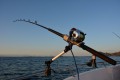 DSC_1178.jpg