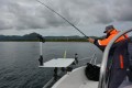 DSC_0681.jpg