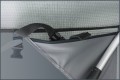 4-tent-palatka-motor.jpg