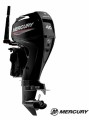 Mercury_40HP_tiller_1.jpg