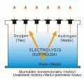 Koyosonic-Gel2b.gif