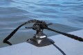 DSC_8366_2.jpg